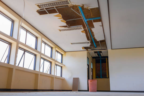 Best Fire Damage Restoration  in Long Grove, IA