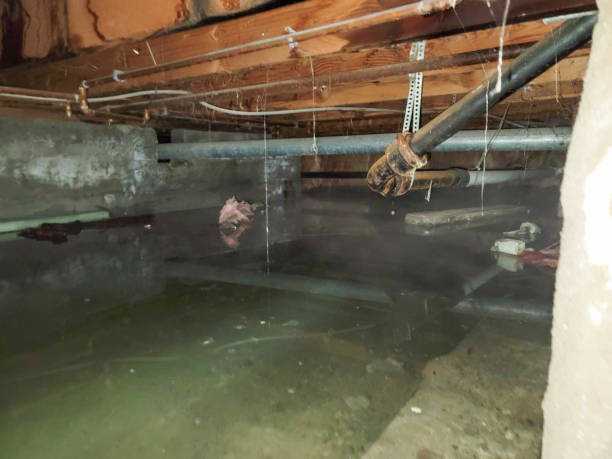 Water damage restoration process in IA