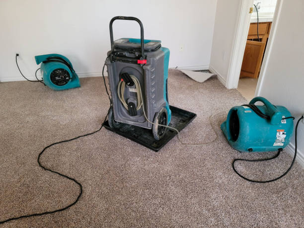 Best 24/7 water damage repair  in Long Grove, IA