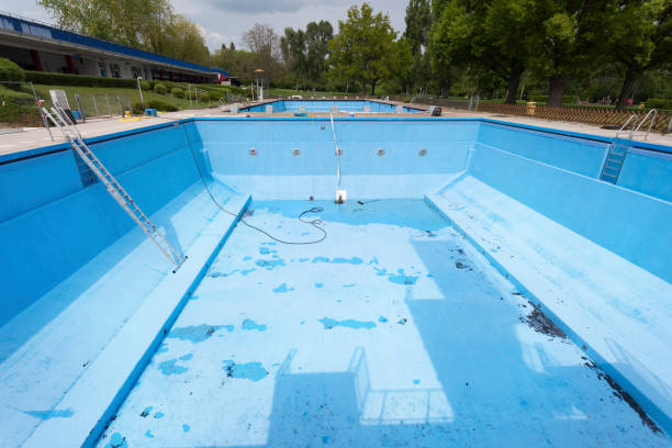 Best Basement water damage restoration  in Long Grove, IA