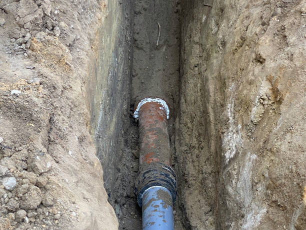 Best Professional water damage repair  in Long Grove, IA