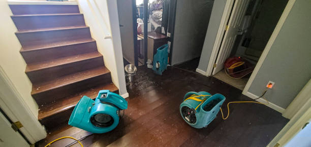 Best Flood damage cleanup  in Long Grove, IA