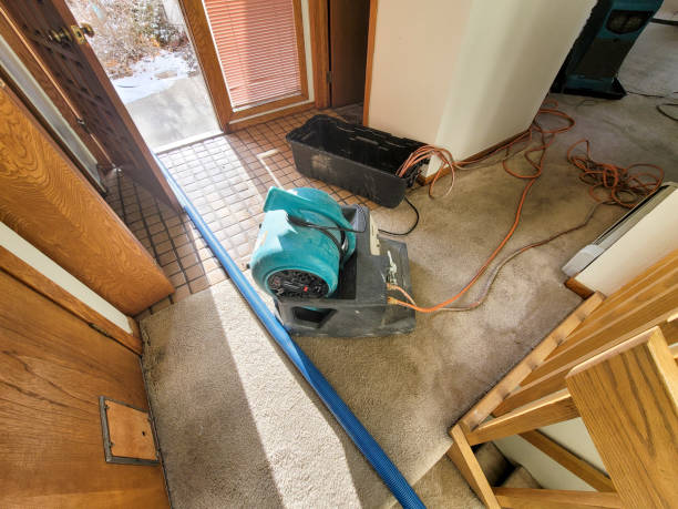 Best Water damage restoration near me  in Long Grove, IA