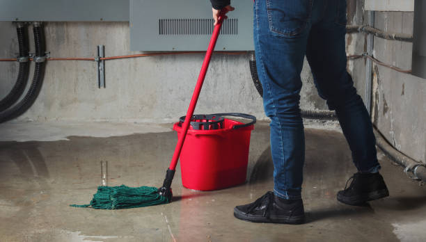 Best Water damage restoration cost  in Long Grove, IA