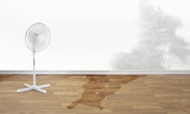 Best Water damage restoration near me  in Long Grove, IA