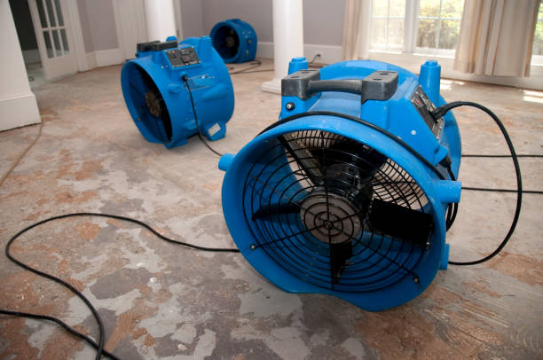 Best Residential water damage restoration  in Long Grove, IA