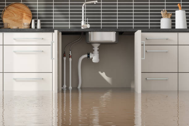 Best Flooded house restoration  in Long Grove, IA