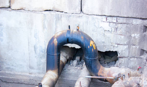 Best Local water damage restoration  in Long Grove, IA