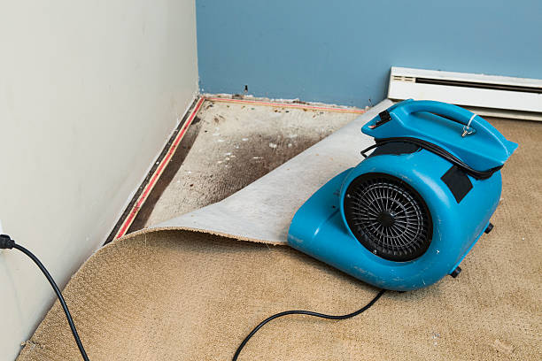 Best Flood restoration services  in Long Grove, IA