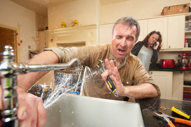 Best Flood damage cleanup  in Long Grove, IA